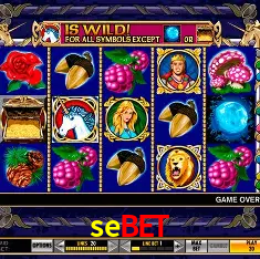 sebet Rio de Janeiro - Bonus Terms